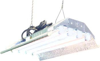 4: DuroLux T5 Grow Light - 2 FT 4 Lamps