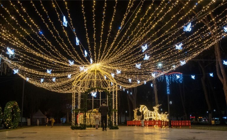 How Long Do LED Christmas Lights Last?